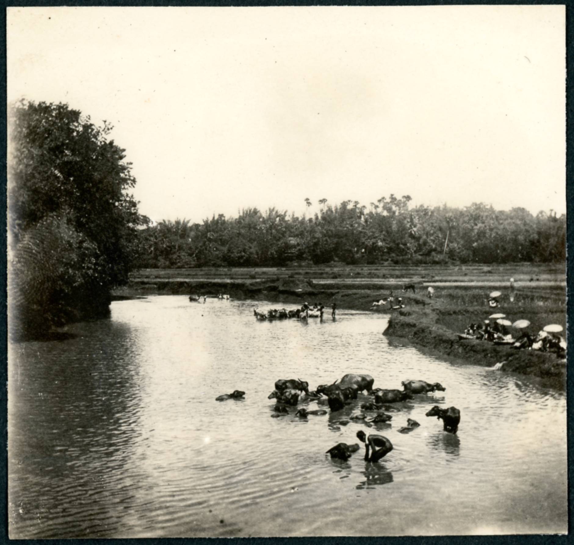 Family photo album, loose sheets -- Bangalore home, Nilgiris, Mysore -- Part 3 of 4